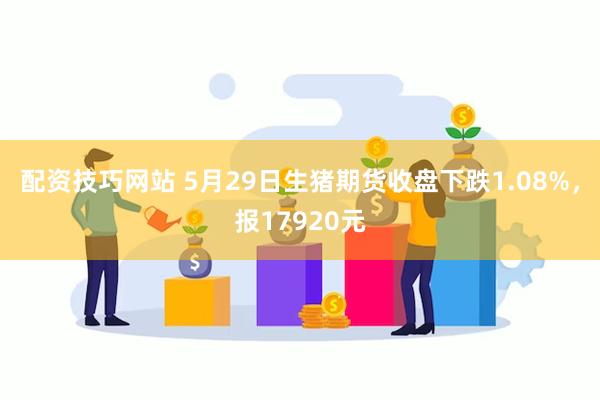 配资技巧网站 5月29日生猪期货收盘下跌1.08%，报17920元