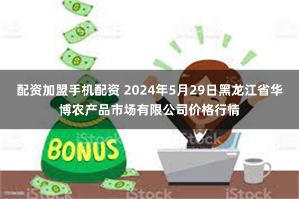 配资加盟手机配资 2024年5月29日黑龙江省华博农产品市场有限公司价格行情