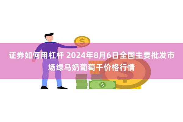 证券如何用杠杆 2024年8月6日全国主要批发市场绿马奶葡萄干价格行情