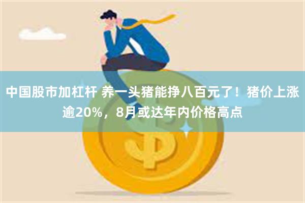 中国股市加杠杆 养一头猪能挣八百元了！猪价上涨逾20%，8月或达年内价格高点