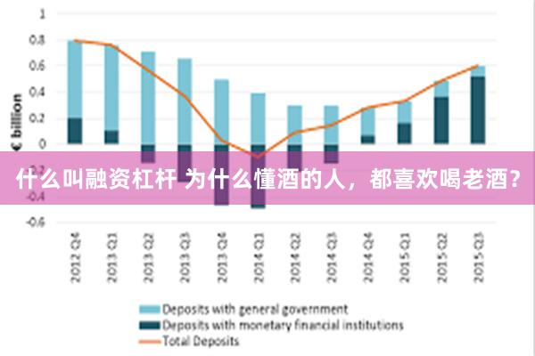 什么叫融资杠杆 为什么懂酒的人，都喜欢喝老酒？