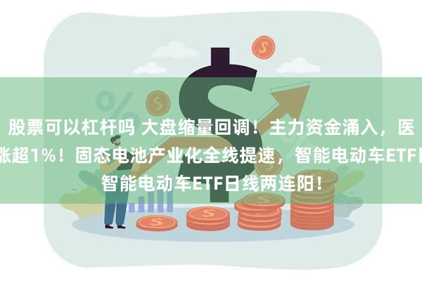 股票可以杠杆吗 大盘缩量回调！主力资金涌入，医疗ETF逆市涨超1%！固态电池产业化全线提速，智能电动车ETF日线两连阳！