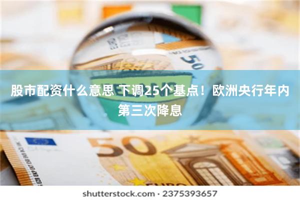 股市配资什么意思 下调25个基点！欧洲央行年内第三次降息