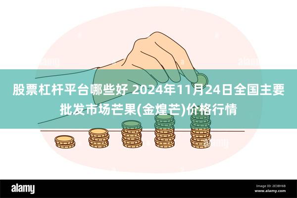 股票杠杆平台哪些好 2024年11月24日全国主要批发市场芒果(金煌芒)价格行情