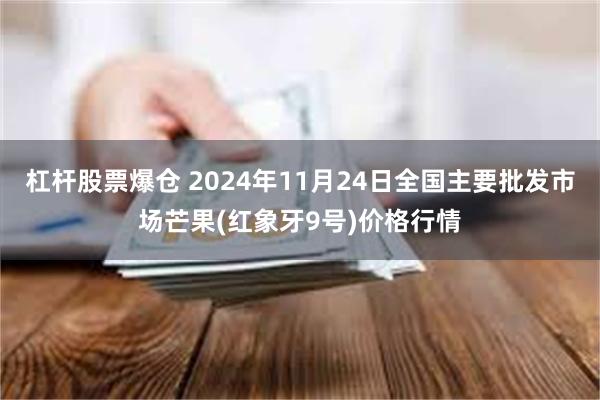 杠杆股票爆仓 2024年11月24日全国主要批发市场芒果(红象牙9号)价格行情