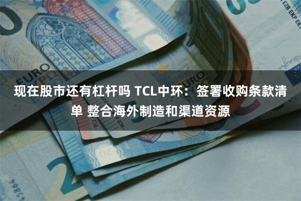 现在股市还有杠杆吗 TCL中环：签署收购条款清单 整合海外制造和渠道资源