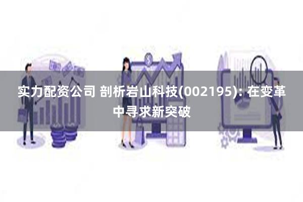 实力配资公司 剖析岩山科技(002195): 在变革中寻求新突破