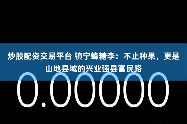 炒股配资交易平台 镇宁蜂糖李：不止种果，更是山地县域的兴业强县富民路