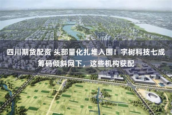 四川期货配资 头部量化扎堆入围！宇树科技七成筹码倾斜网下，这些机构获配