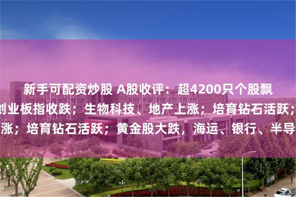 新手可配资炒股 A股收评：超4200只个股飘红，沪指收涨，深指、创业板指收跌；生物科技、地产上涨；培育钻石活跃；黄金股大跌，海运、银行、半导体下跌