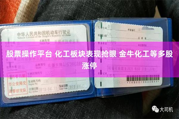 股票操作平台 化工板块表现抢眼 金牛化工等多股涨停