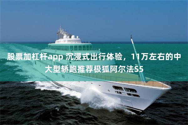 股票加杠杆app 沉浸式出行体验，11万左右的中大型轿跑推荐极狐阿尔法S5